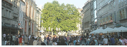 A View of Munich