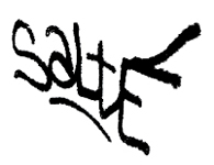 Salte Tag