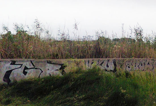 Sete unidentified graffiti